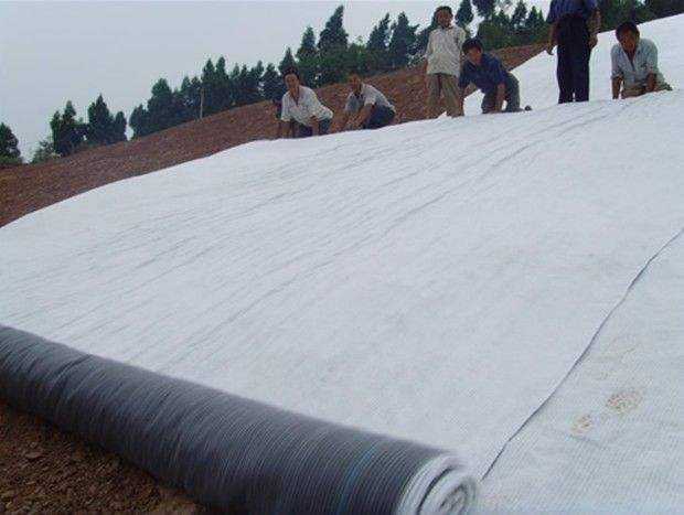 膨潤(rùn)土防水毯具有哪些土工膜不具備的特性?